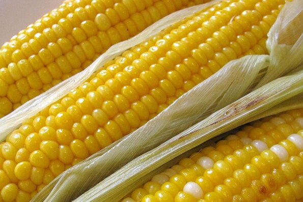 Grilled Corn on the Cob