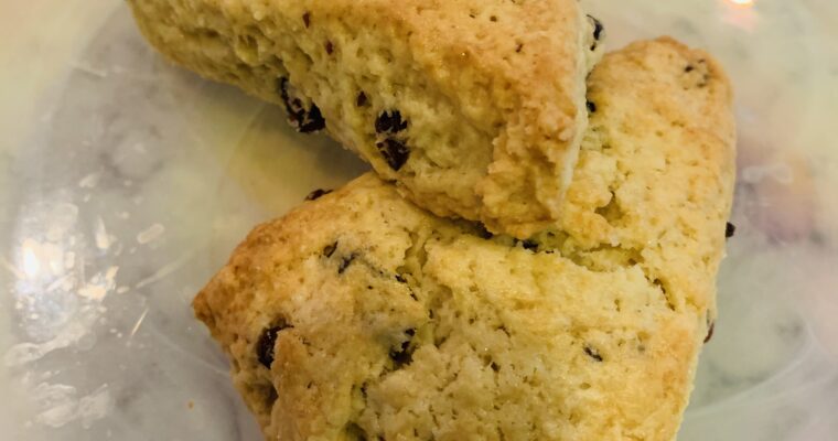 Scone – Cransins/Chocolate Chip