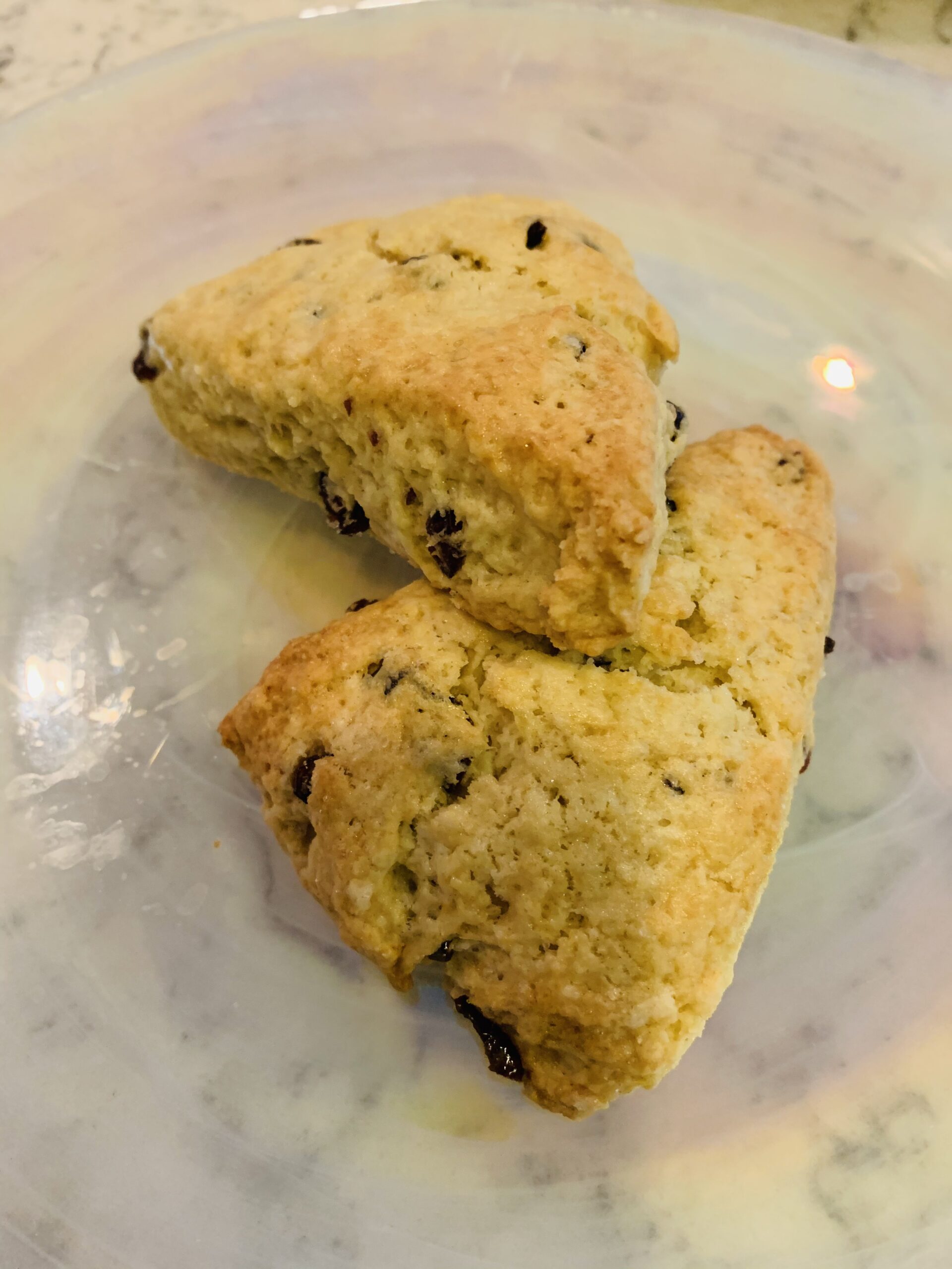 Scone – Cransins/Chocolate Chip
